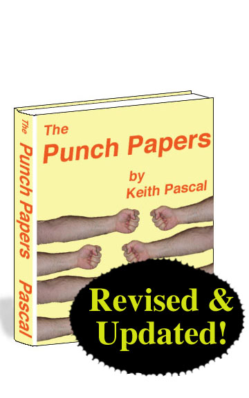 Punch Papers ebook