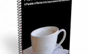 Free Martial Arts eBook or Video
