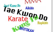 Which is the best martial art style