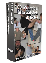 100 practical martial arts articles