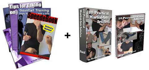 speed ebook, gauntlet drills, taking on a boxer, 100 martial arts articles, pressure points