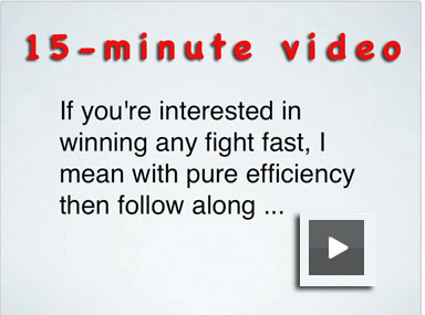 martial arts video explaining ebook how to end the fight with one hit