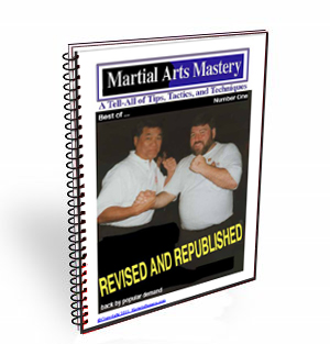 best of martial arts mastery newsletter 