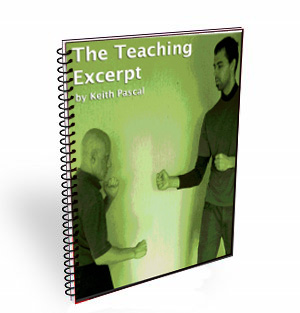 teach martial arts download excerpt