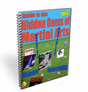 guide to martial arts hidden gems