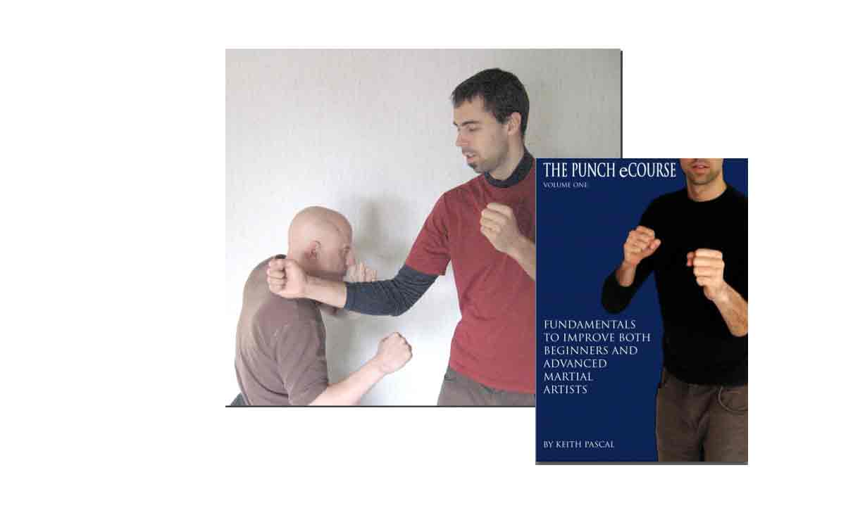 Punch-fundamentals